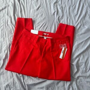 Dalia Collection || city fit cigarette leg pants